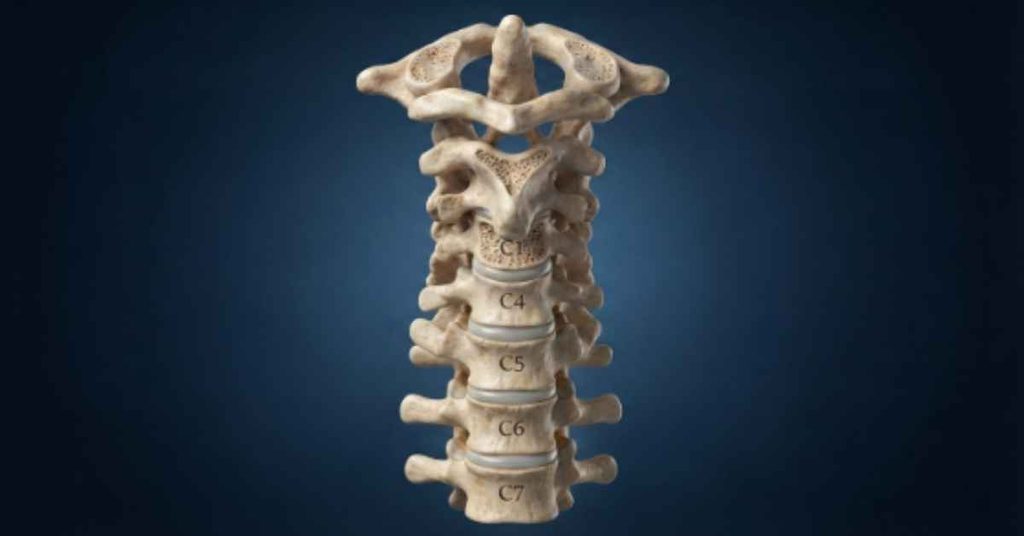 cervical-vertebrae